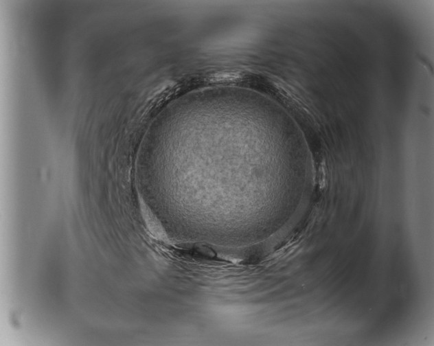 X0000099461441200805161035