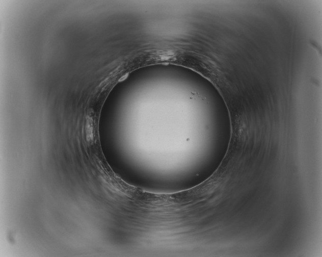 X0000099461442200805161035