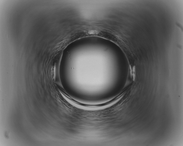 X0000099461443200805161035