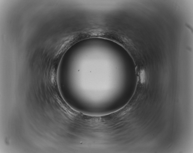 X0000099461444200805161035