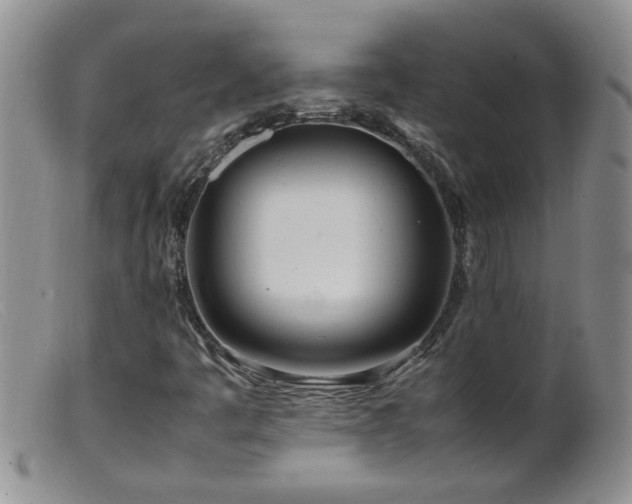 X0000099461445200805161035