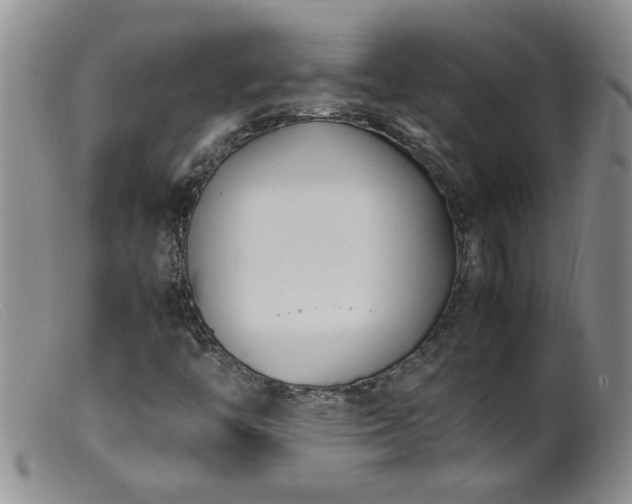 X0000099461446200805161035