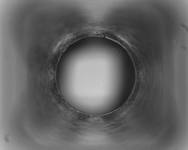 X0000099461447200805161035