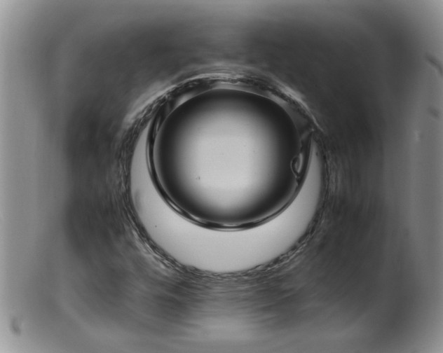 X0000099461448200805161035