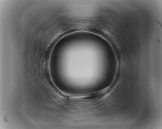 X0000099461449200805161035