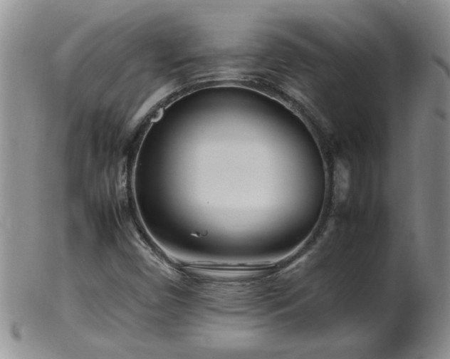 X0000099461450200805161035