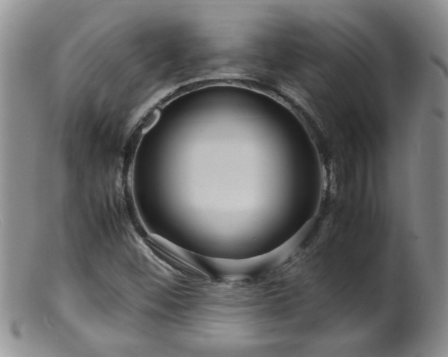 X0000099461452200805161035