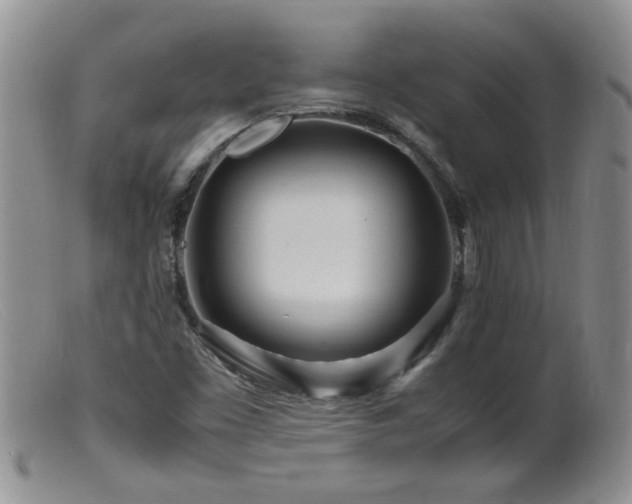 X0000099461453200805161035