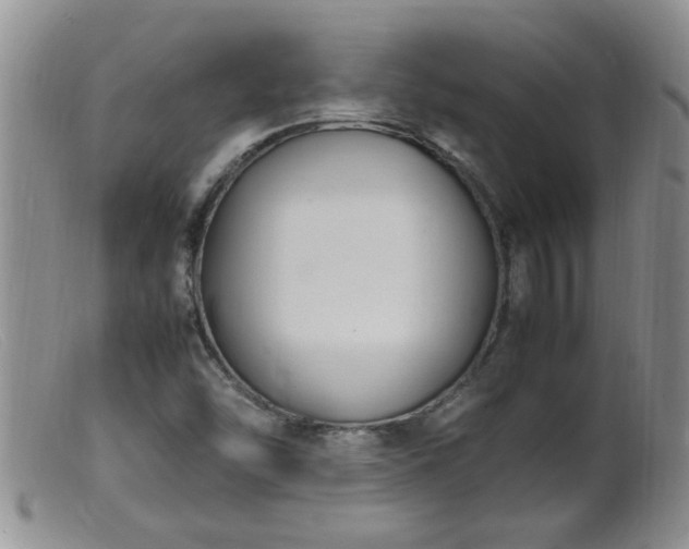 X0000099461454200805161035