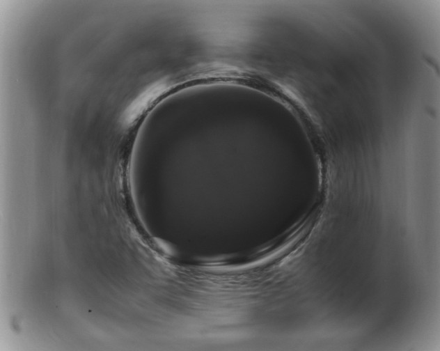 X0000099461455200805161035