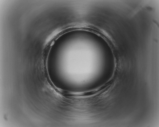 X0000099461456200805161035