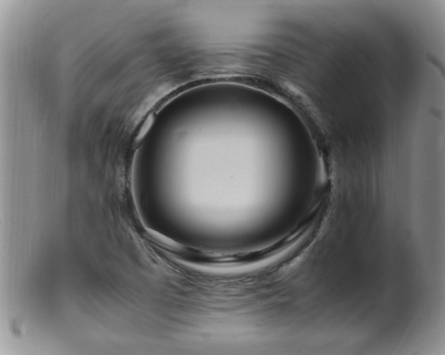 X0000099461457200805161035