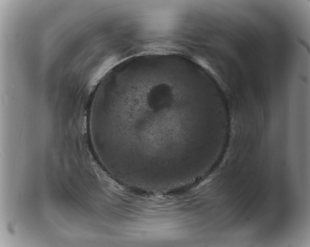 X0000099461459200805161035