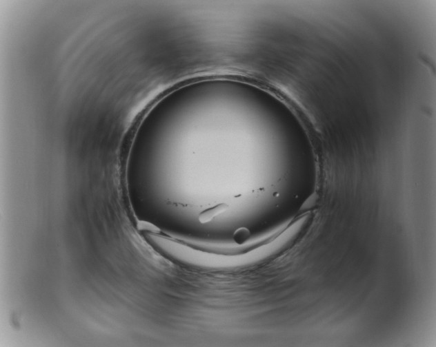 X0000099461460200805161035