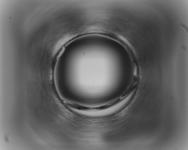 X0000099461461200805161035