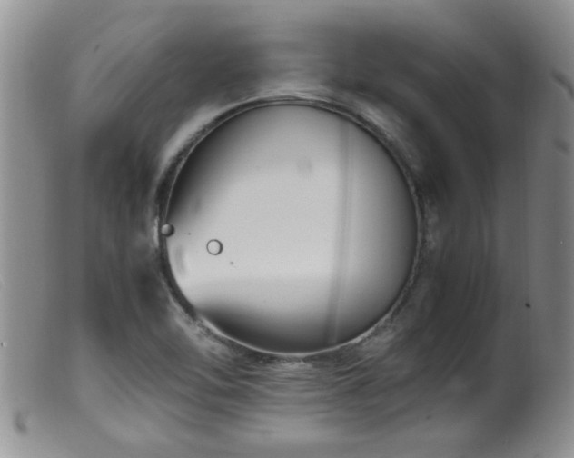 X0000099461462200805161035