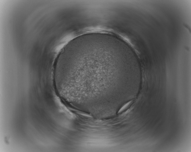 X0000099461463200805161035