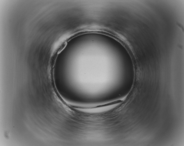 X0000099461464200805161035