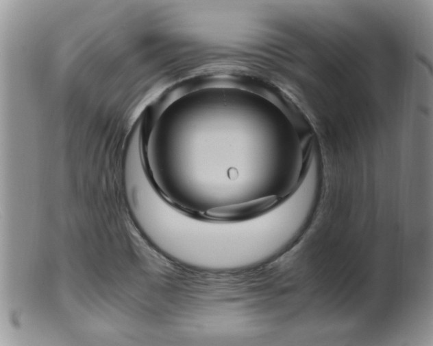 X0000099461465200805161035