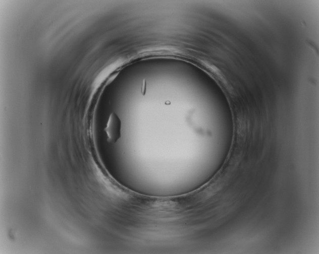 X0000099461466200805161035