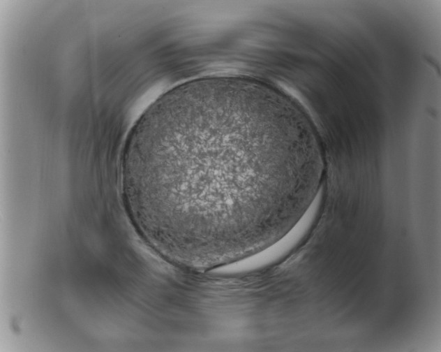 X0000099461467200805161035