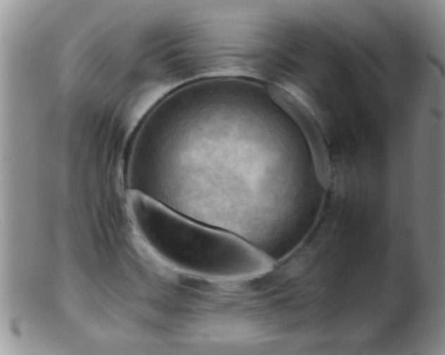 X0000099461468200805161035