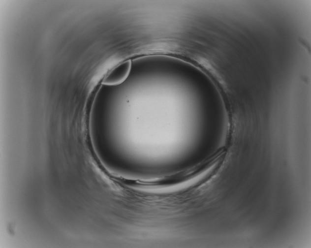 X0000099461469200805161035