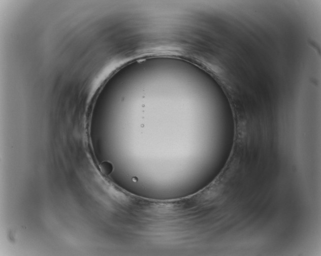 X0000099461470200805161035