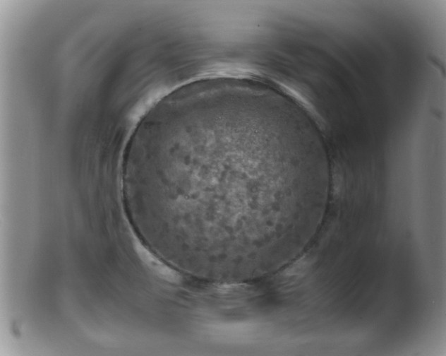 X0000099461471200805161035