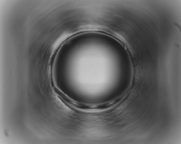 X0000099461472200805161035