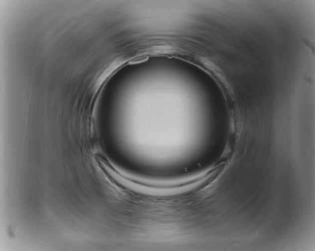 X0000099461473200805161035