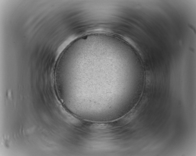 X0000099461474200805161035