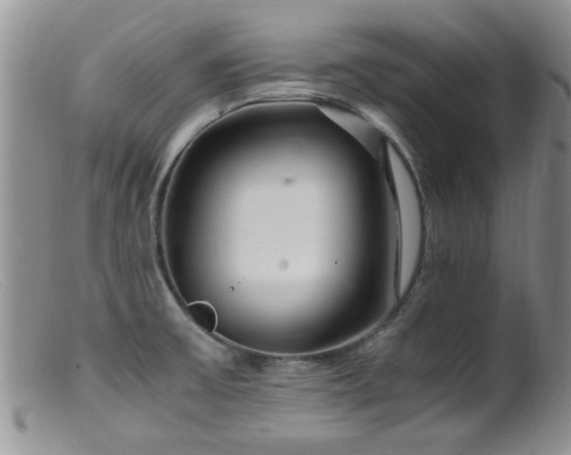 X0000099461475200805161034