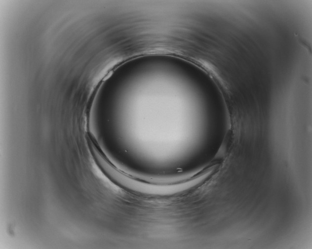 X0000099461476200805161034