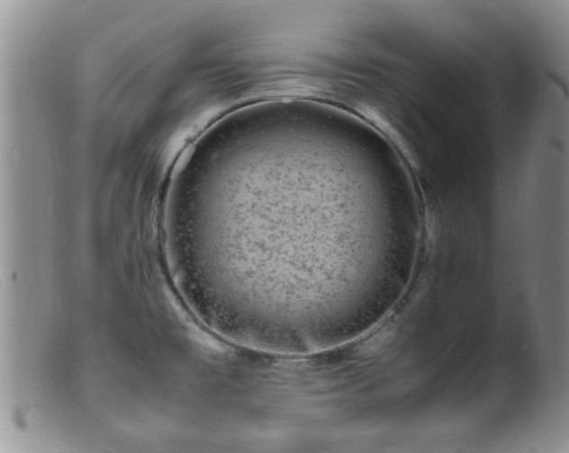 X0000099461477200805161034