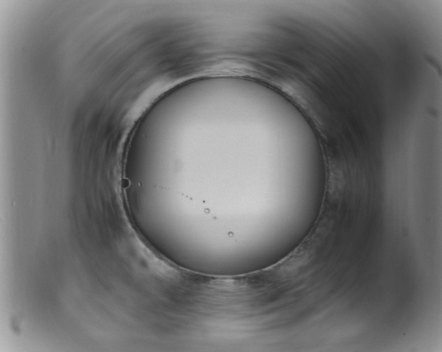 X0000099461478200805161034