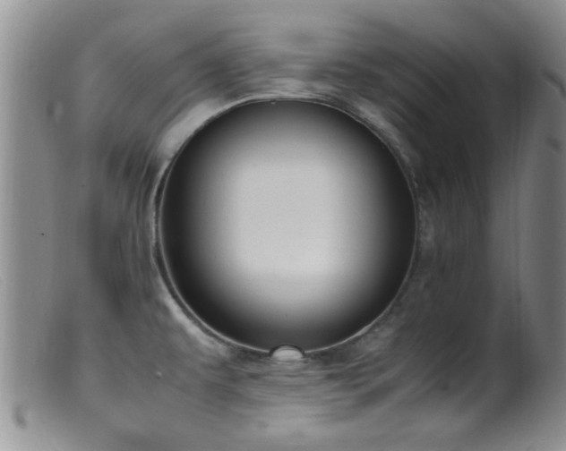 X0000099461479200805161034