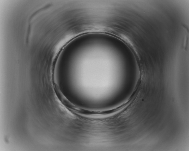 X0000099461480200805161034