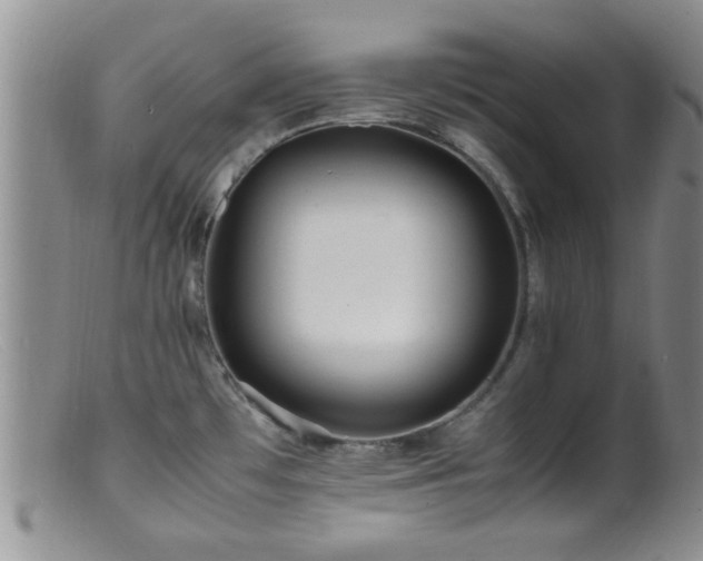 X0000099461481200805161034