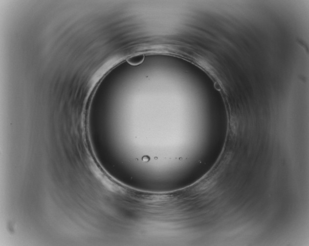 X0000099461482200805161034