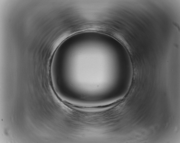 X0000099461483200805161034