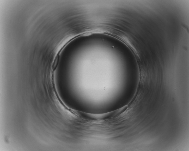 X0000099461484200805161034