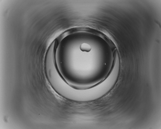 X0000099461485200805161034