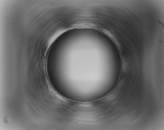 X0000099461486200805161034