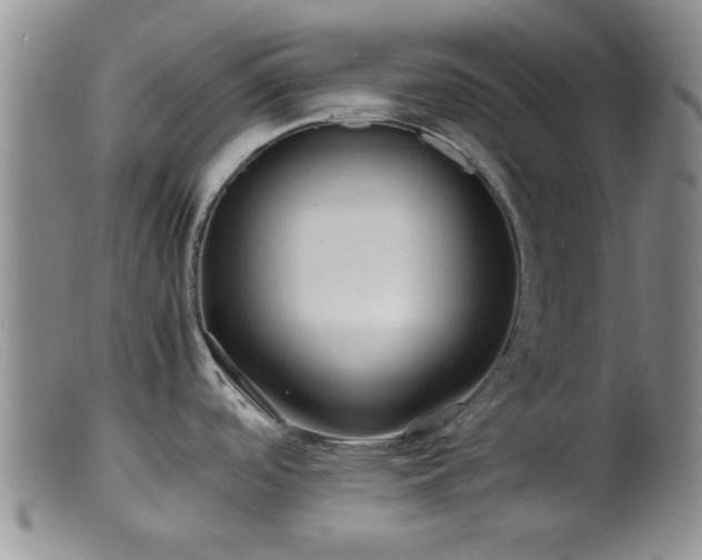 X0000099461488200805161034