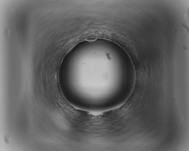 X0000099461489200805161033