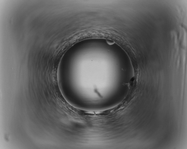 X0000099461490200805161033