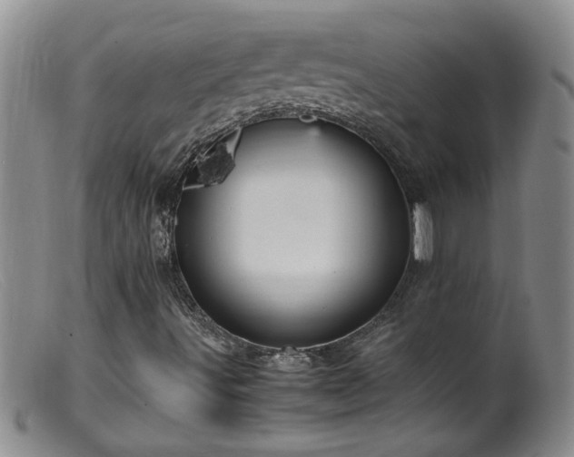 X0000099461491200805161033