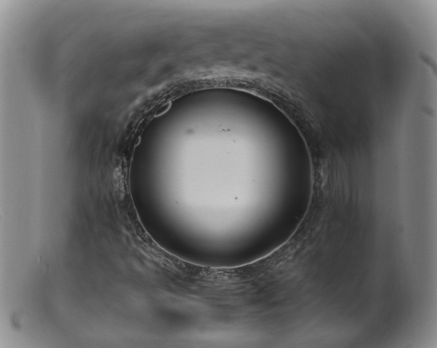 X0000099461493200805161034