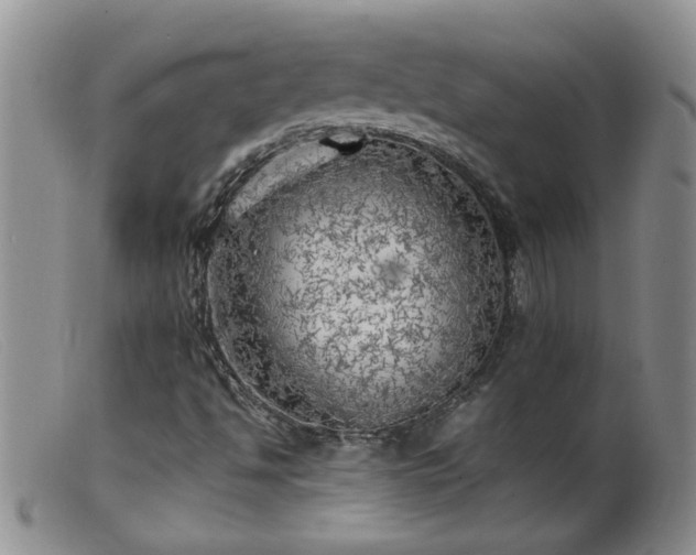 X0000099461494200805161034